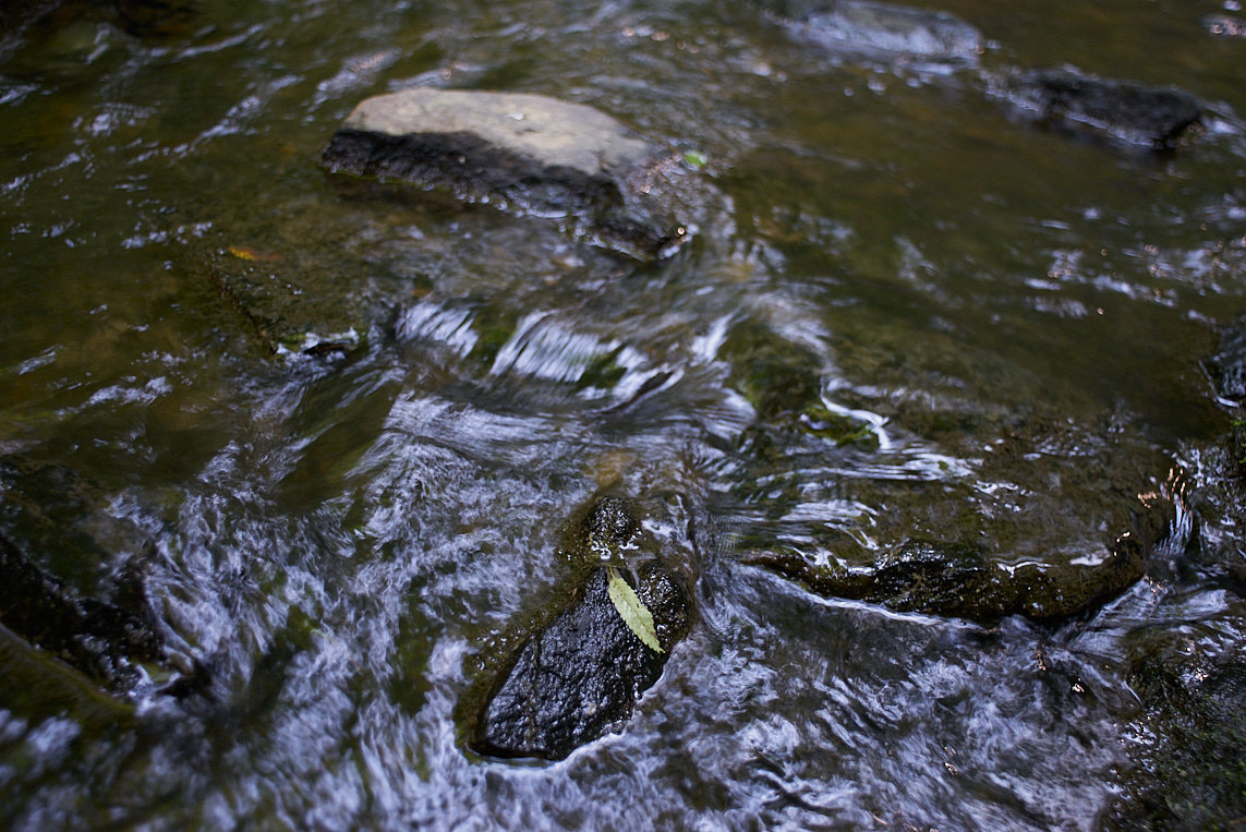 variabilní ND filtr 32-512x VFFOTO PS 77 mm bez filtru